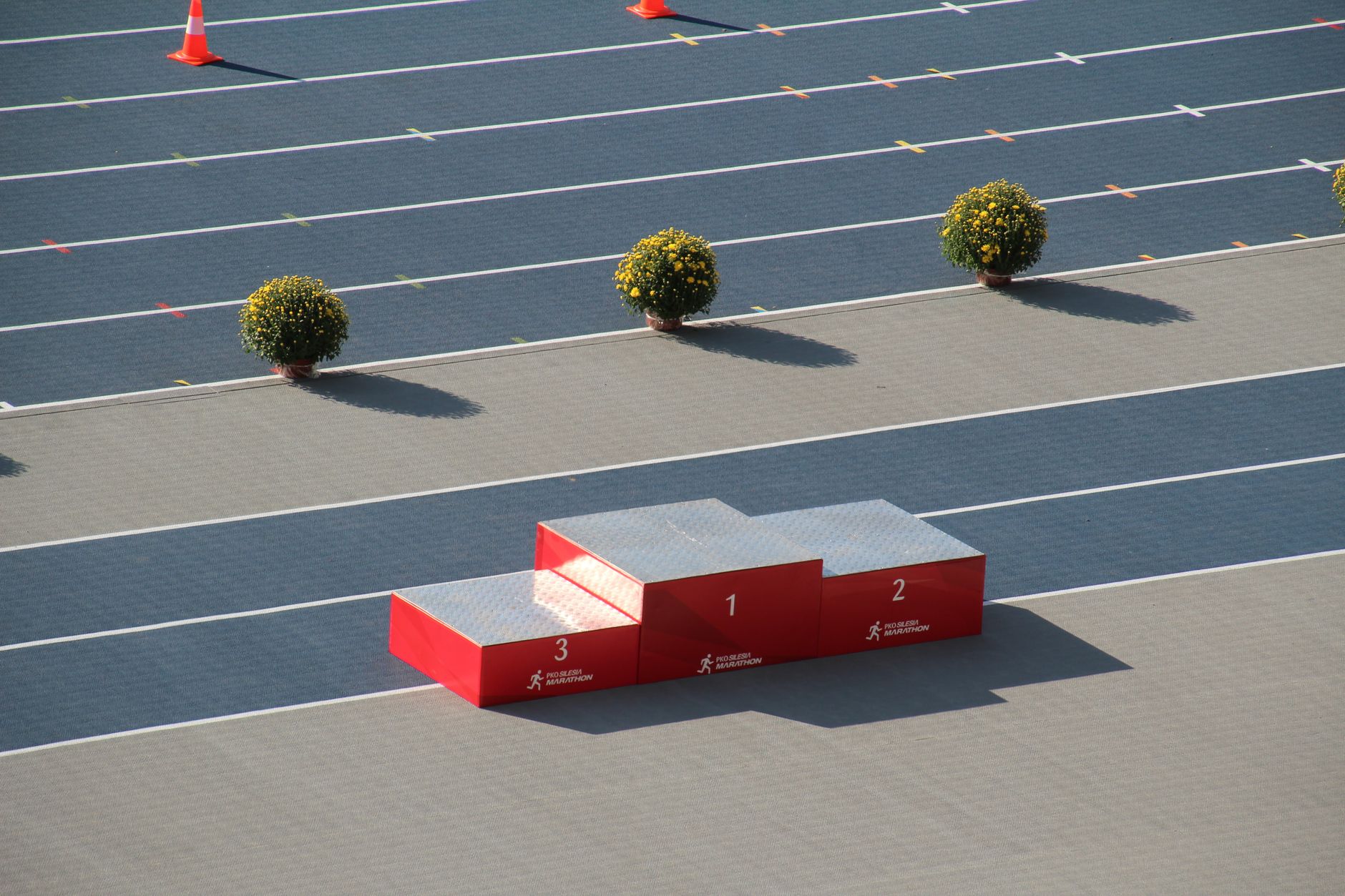 Why Competitors Show Up in AI Search and How to Fix It